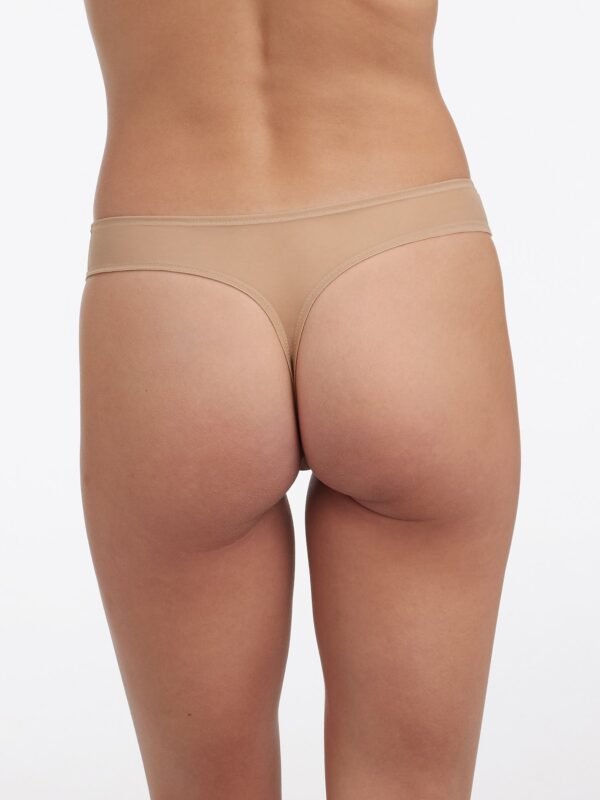 Enamoured Tattoo Lace Thong - Image 4