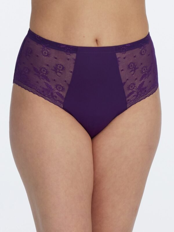 Lacy High Rise Brief - FINAL SALE